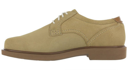 SAS Ambassador Sassafras