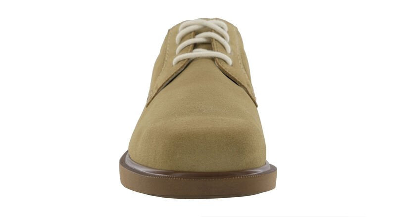 SAS Ambassador Sassafras