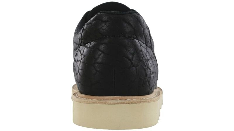 SAS Walkaround Bison